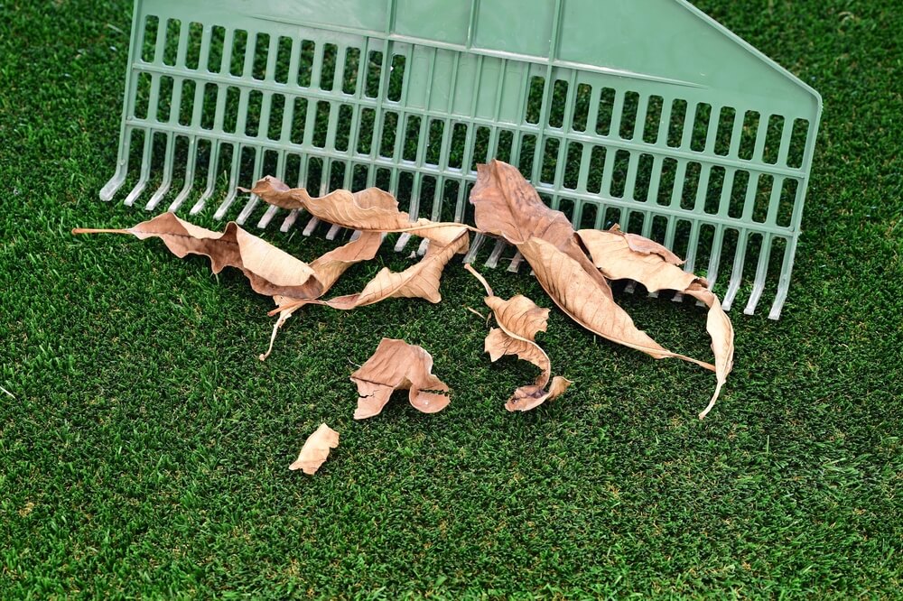 A Studio Photo of a Garden Rake on Fake Turf