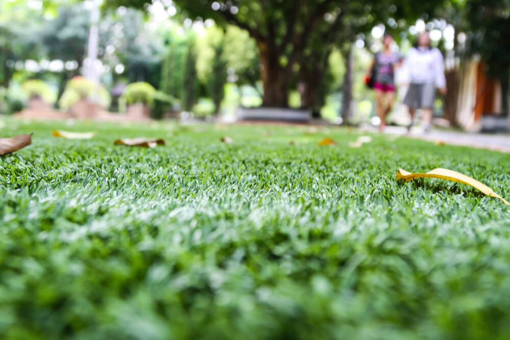 Garden With Printed Walkway and Green Artificial Grass