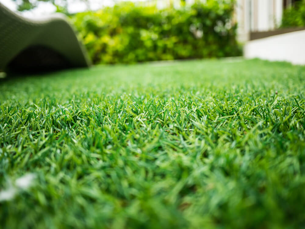 Artificial Green Grass Texture Background