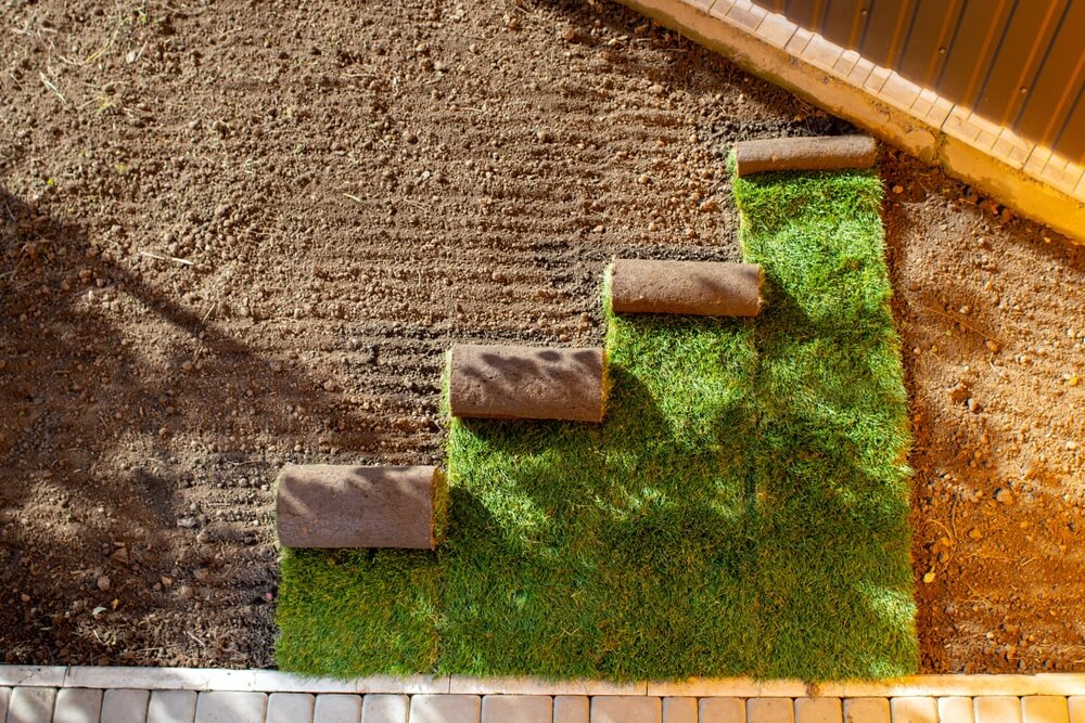 Stack of Turf Grass for Lawn. Roll of Sod, Turf Grass Roll.